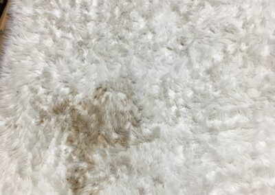 "White fluffy rug with a large brown stain near the center, lying on a wooden floor with part of a patterned rug visible at the edge."