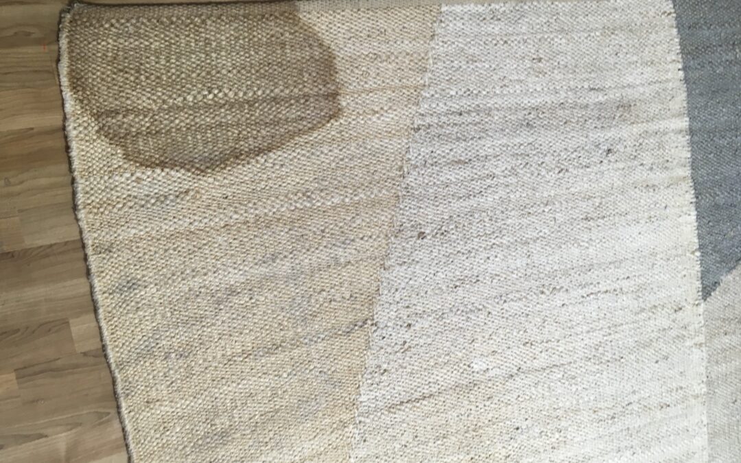 Hand Wash Rug Pet Odor Removal for Wool, Silk and Modern Rugs