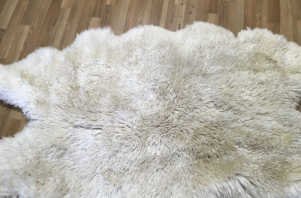 Sheepskin Rug Care