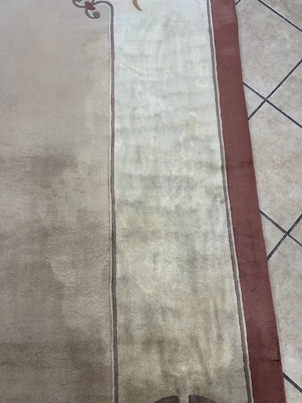 pet stain removal from rugs --- Rug Master San Francisco, CA