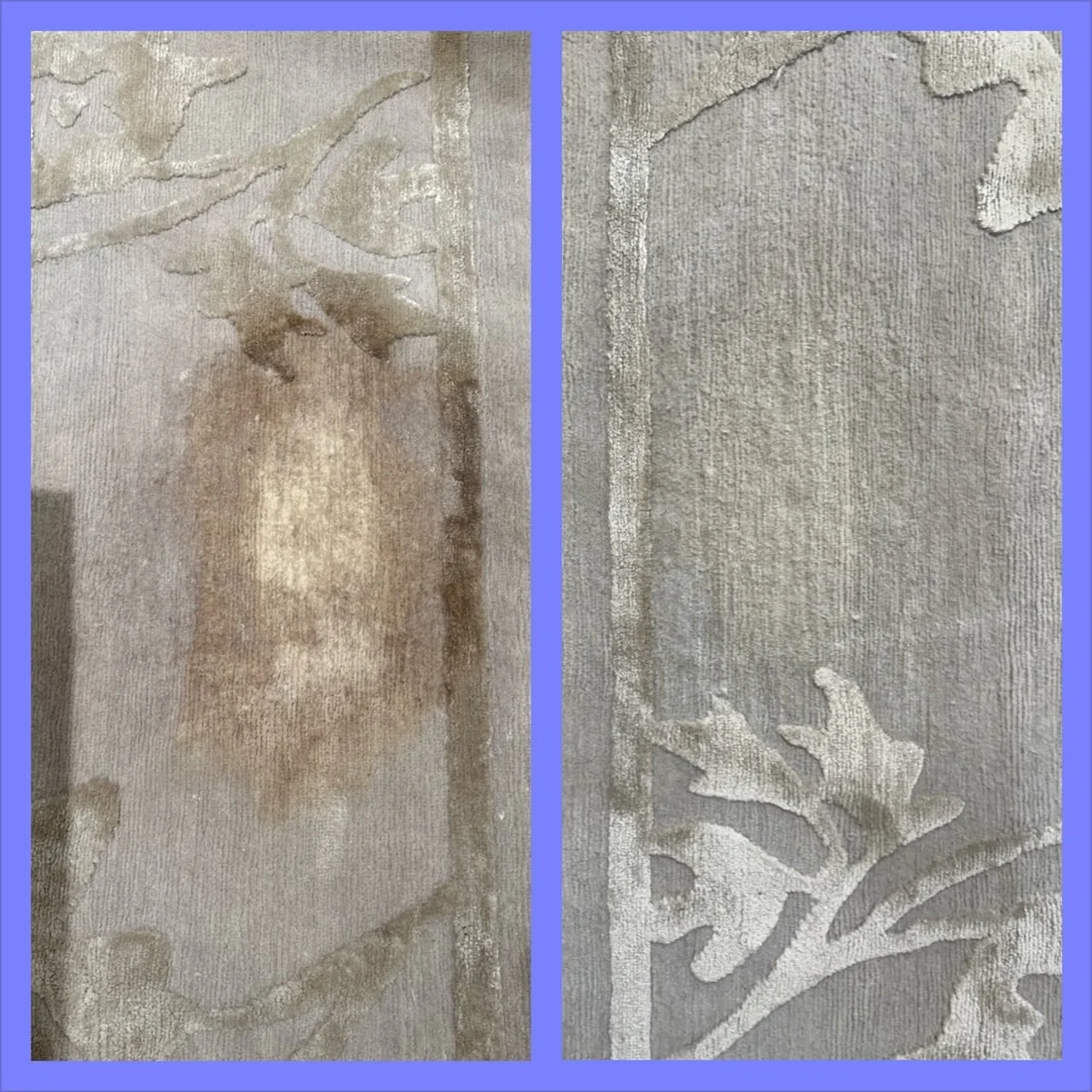 Pet odor removal San Francisco pet odor removal san francisco, dog pee removing san francisco, cat pee removal san francisco